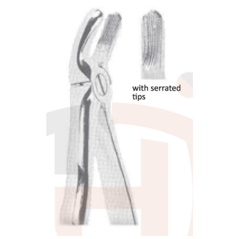 EXTRACTING FORCEPS With Anatomicall